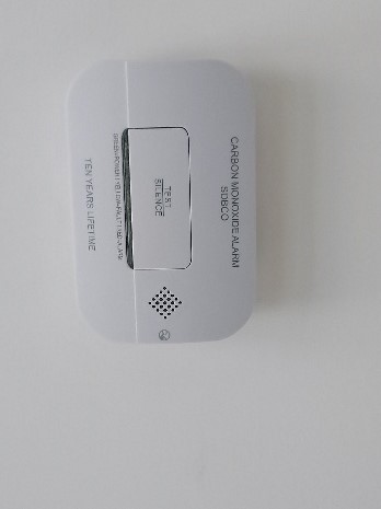 Carbon Monoxide Alarm