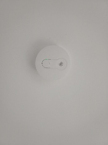 Sprinkler Head