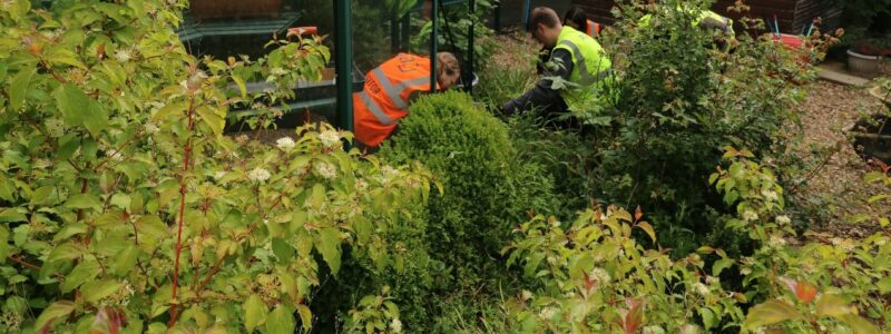Two people wearing high-visibility jackets working in a garden area surrounded by green shrubs and plants.