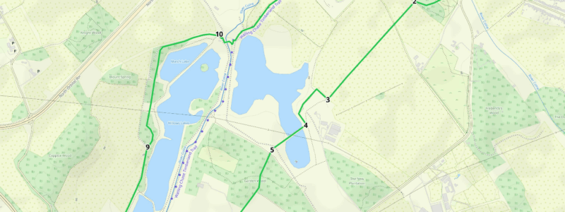 image006 2 800x300 1