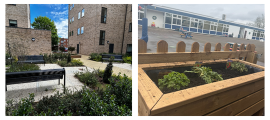 Two images showing landscaped community spaces: on the left, a paved courtyard at Oughton Court in Hitchin with planted greenery, shrubs and benches outside modern flats; on the right, a wooden raised planter filled with soil and young plants, positioned in an outdoor area belonging to Garden City Academy with a small picket-style border around the planter.